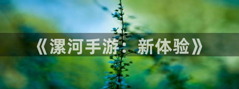 银河(galaxy)官网预测手机版下载：《漯河手游：新体验》