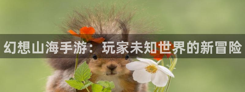 银河(galaxy)官网软件：幻想山海手游：玩家未知世界的新