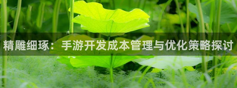 28大神官网预测：精雕细琢：手游开发成本管理与优化策略探讨