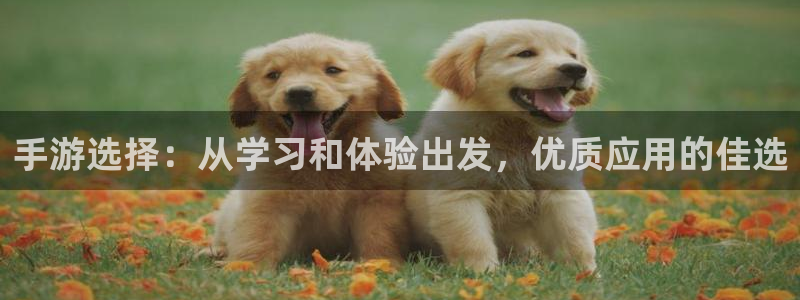 28大神现在是什么：手游选择：从学习和体验出发，优质应用的佳